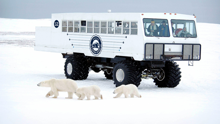 Kanada Churchill Tundra Buggy Manitoba Foto Frontiers North Adventures